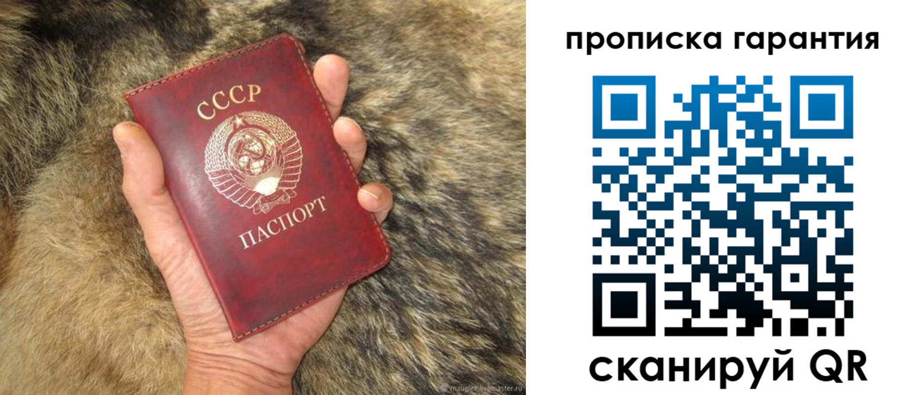 прописка паспорт в Тейково